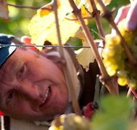 Puddleduck Vineyard - Tourism TAS