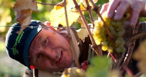 Puddleduck Vineyard - Hobart Tourism 0