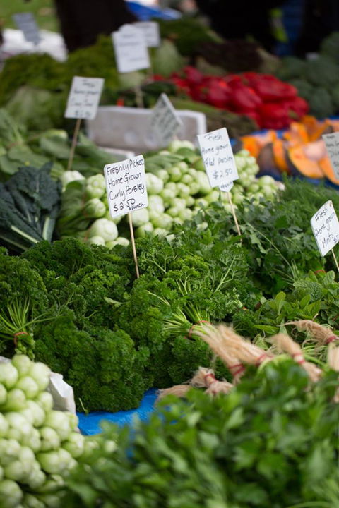 Salamanca Market - Hobart Tourism 5