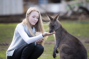 Bonorong Wildlife Sanctuary