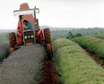 Nabowla TAS Tourism TAS