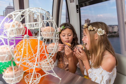 The Wheel Of Brisbane - Tourism TAS 2