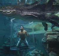 Crocosaurus Cove - Tourism TAS
