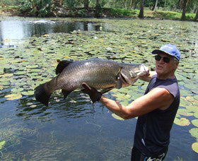 Barra Feeding - Tourism TAS 0