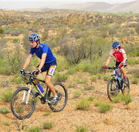 Araluen Mountain Bike Trails - Tourism TAS