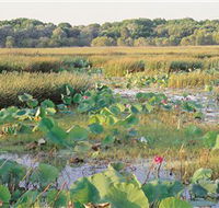 Fogg Dam Conservation Reserve - Tourism TAS