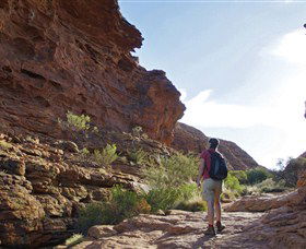 Giles Track - Tourism TAS 0