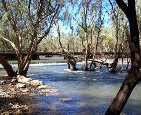 Low Level Nature Reserve - Tourism TAS 0