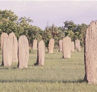 Magnetic Termite Mounds - Tourism TAS