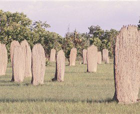 Magnetic Termite Mounds - Hobart Tourism 0