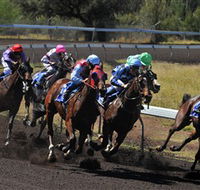 Alice Springs Turf Club - Hobart Tourism