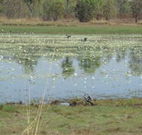 Leaning Tree Lagoon Nature Park - Tourism TAS