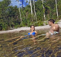 Tjaynera/Sandy Creek Falls - Tourism TAS