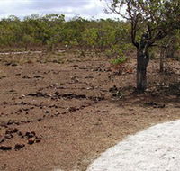 Wurrwurrwuy Garanhan Macassan Beach Interpretive Walk - Tourism TAS