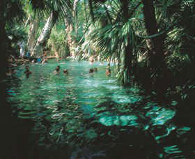 Mataranka Thermal Pool - Tourism TAS 0