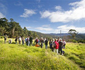 Springbrook QLD Hobart Tourism