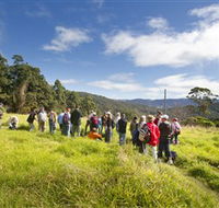 Apple Tree Park - Hobart Tourism