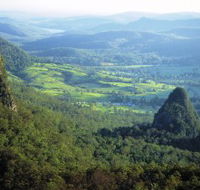 Springbrook Plateau Springbrook National Park - Hobart Tourism