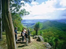 Gold Coast Hinterland Great Walk - Hobart Tourism 0