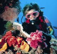 Cook Island Dive Site - Tourism TAS