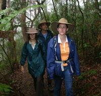 Mount Cougal Springbrook National Park - Hobart Tourism