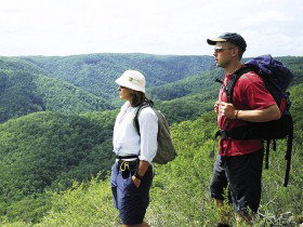 Sunshine Coast Hinterland Great! Walk - Tourism TAS 0