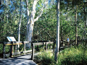 Noosa Heads QLD Tourism TAS