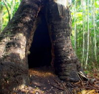 Tewantin National Park - Tourism TAS