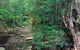 Mudlo National Park - thumb 0