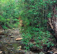 Mudlo National Park - Hobart Tourism