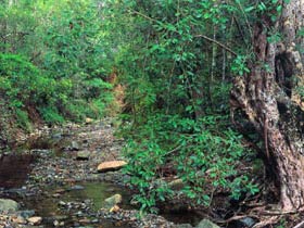 Mudlo National Park - Hobart Tourism 0