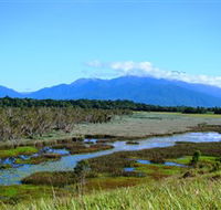 Eubenangee Swamp National Park - Hobart Tourism