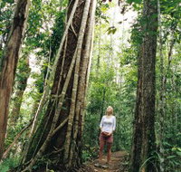 Wet Tropics - Hobart Tourism