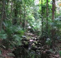 Mossman Gorge Rainforest Circuit Track Daintree National Park - Hobart Tourism