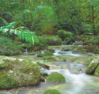 Mossman Gorge Daintree National Park - Hobart Tourism