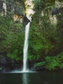 Nandroya Falls Circuit Track, Wooroonooran National Park - Tourism TAS 0