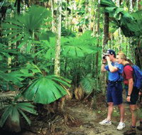 Mount Sorrow Ridge Trail Daintree National Park - Hobart Tourism