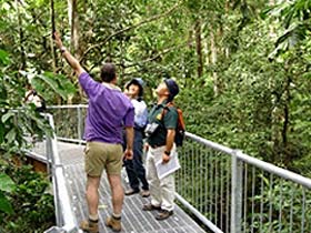 Daintree Discovery Centre - Hobart Tourism 0