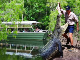 Hartleys Crocodile Adventures - Hobart Tourism 0