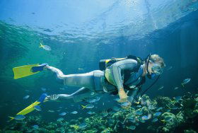 Tijou Reef - Tourism TAS 0
