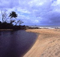 Russell River National Park - Tourism TAS
