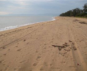 Ingham QLD Tourism TAS