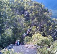 Mia Mia State Forest - Tourism TAS