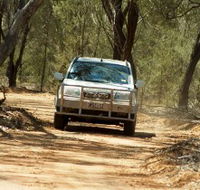 Ward River 4x4 Stock Route Trail - Tourism TAS