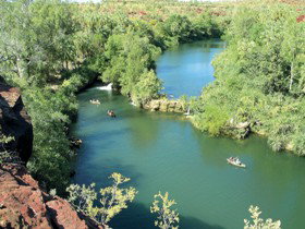 Wild Dog Dreaming, Boodjamulla (Lawn Hill) National Park - Tourism TAS 0