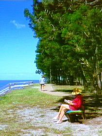 Woodgate QLD Hobart Tourism
