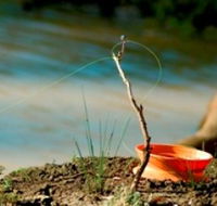 Charleville - Mangalore Warrego River Fishing Spot - Tourism TAS