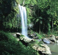 Curtis Falls Joalah Section - Tourism TAS