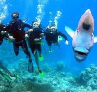 Gotham City Dive Site - Tourism TAS