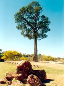 Humeburn QLD Tourism TAS